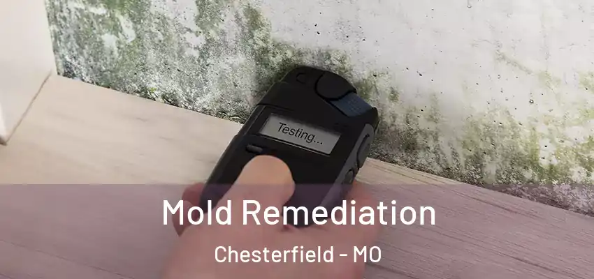  Mold Remediation Chesterfield - MO