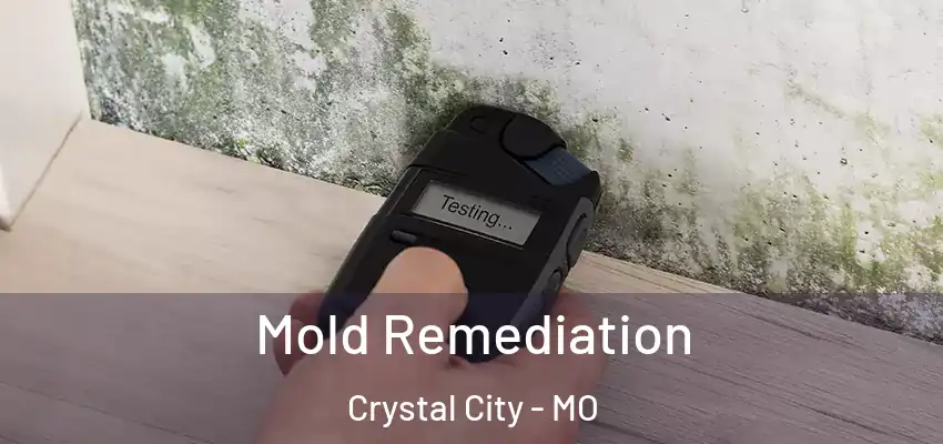  Mold Remediation Crystal City - MO
