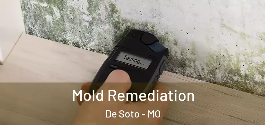  Mold Remediation De Soto - MO