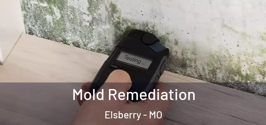  Mold Remediation Elsberry - MO