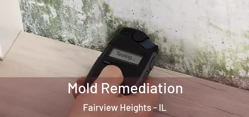  Mold Remediation Fairview Heights - IL