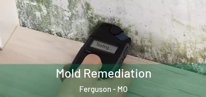 Mold Remediation Ferguson - MO