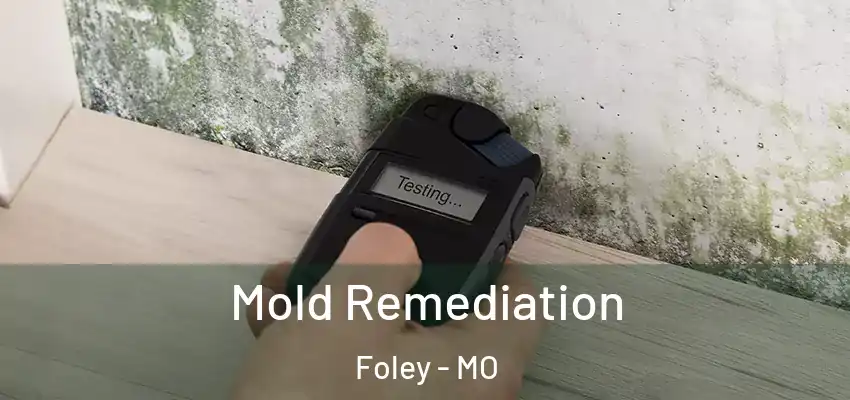 Mold Remediation Foley - MO