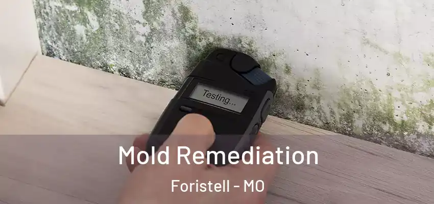  Mold Remediation Foristell - MO