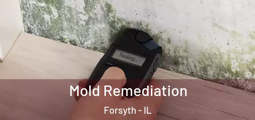  Mold Remediation Forsyth - IL