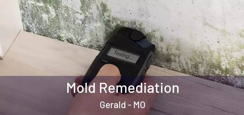  Mold Remediation Gerald - MO
