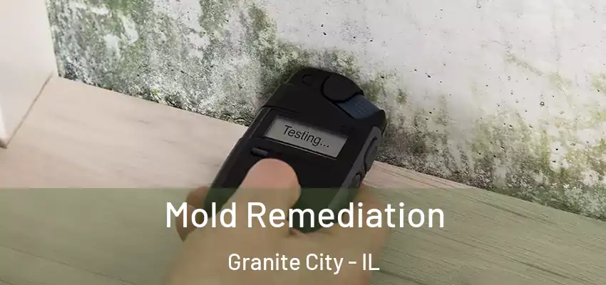  Mold Remediation Granite City - IL