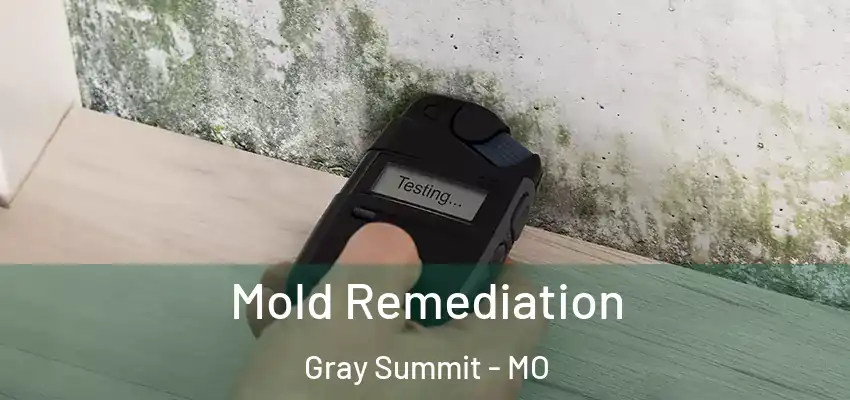  Mold Remediation Gray Summit - MO
