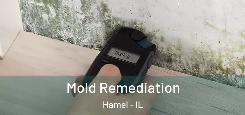  Mold Remediation Hamel - IL