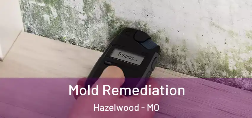  Mold Remediation Hazelwood - MO