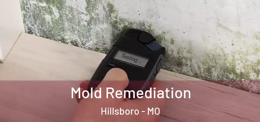  Mold Remediation Hillsboro - MO