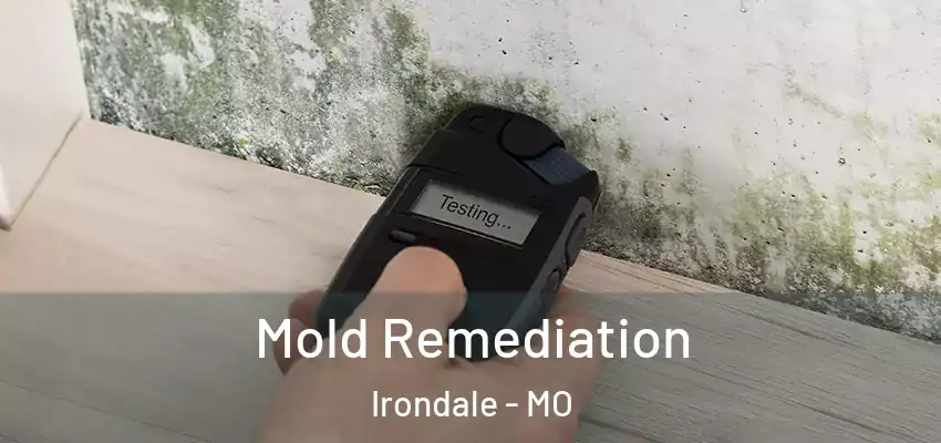  Mold Remediation Irondale - MO