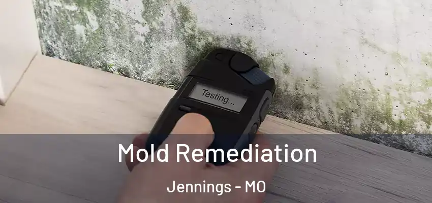  Mold Remediation Jennings - MO