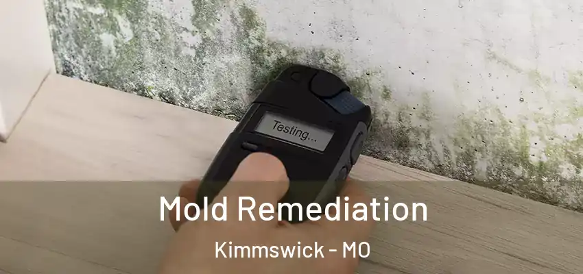 Mold Remediation Kimmswick - MO