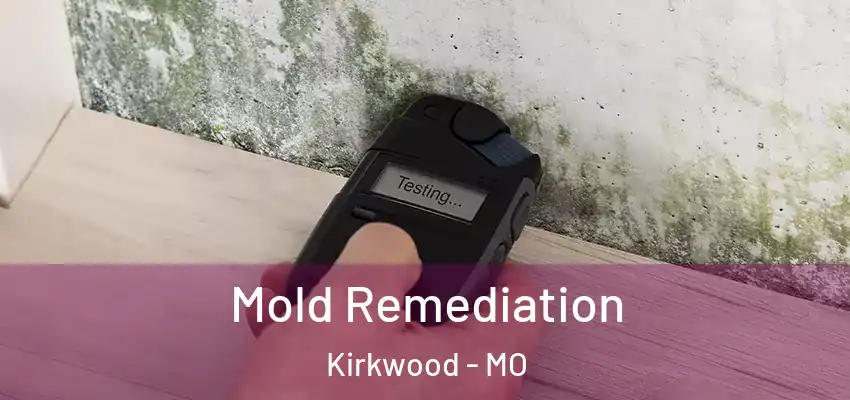  Mold Remediation Kirkwood - MO