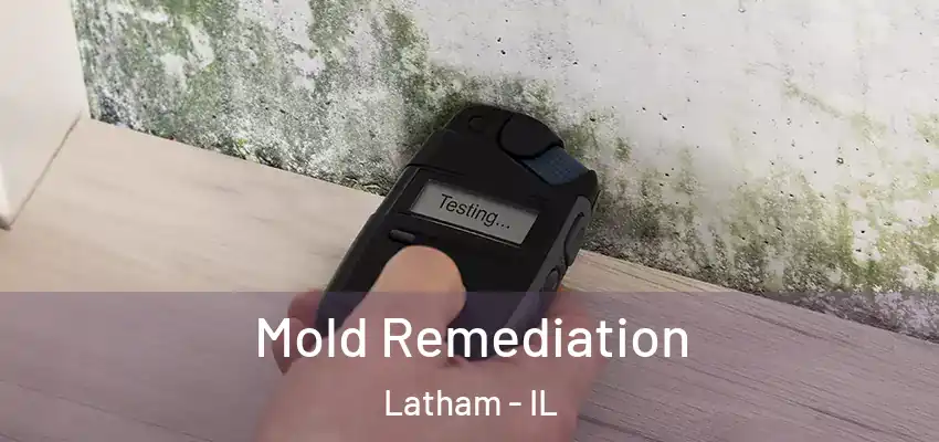  Mold Remediation Latham - IL