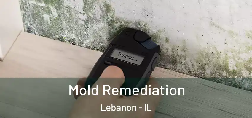  Mold Remediation Lebanon - IL