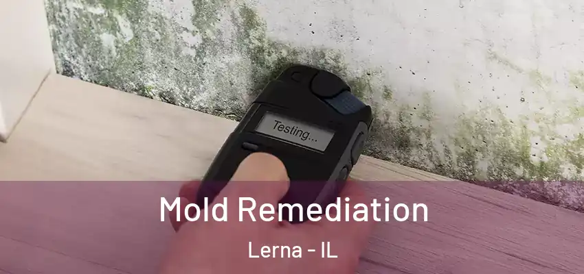  Mold Remediation Lerna - IL