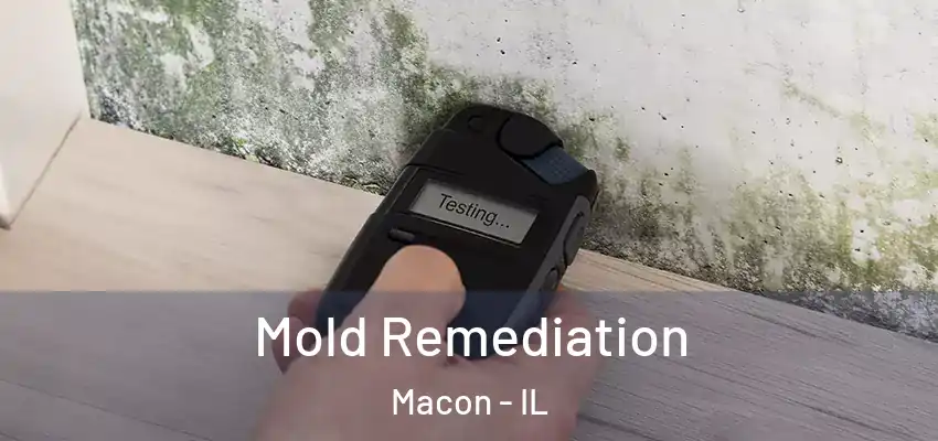  Mold Remediation Macon - IL