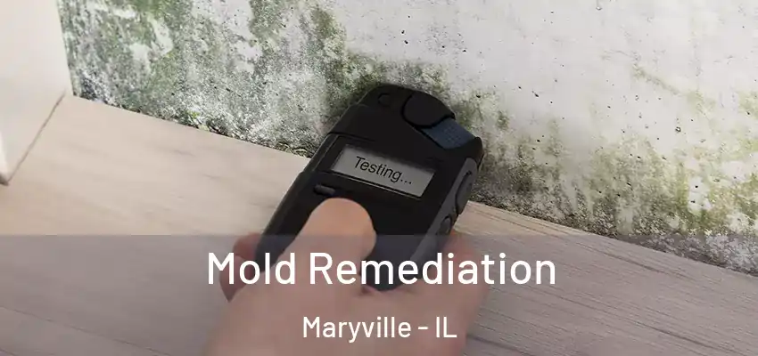  Mold Remediation Maryville - IL