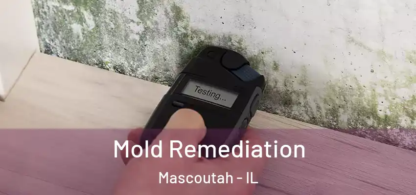  Mold Remediation Mascoutah - IL