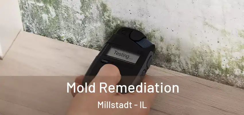  Mold Remediation Millstadt - IL