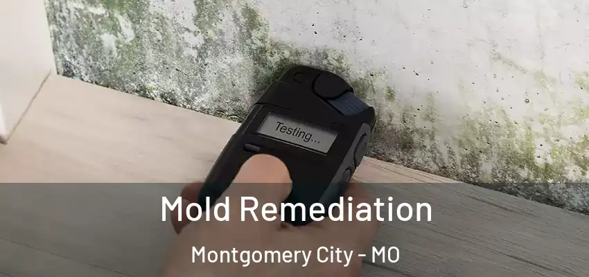  Mold Remediation Montgomery City - MO