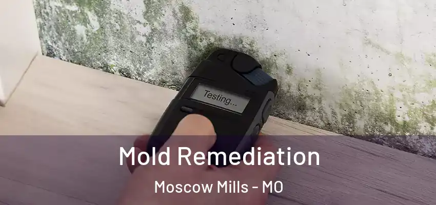  Mold Remediation Moscow Mills - MO