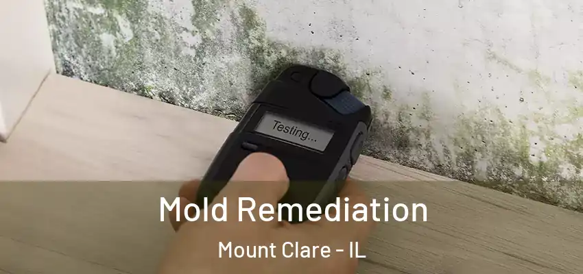  Mold Remediation Mount Clare - IL
