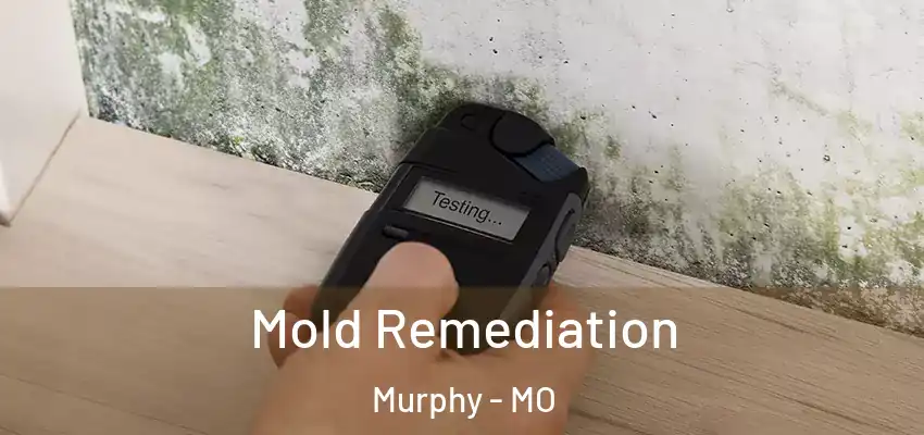  Mold Remediation Murphy - MO