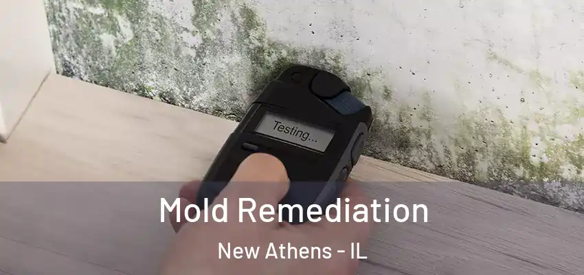  Mold Remediation New Athens - IL