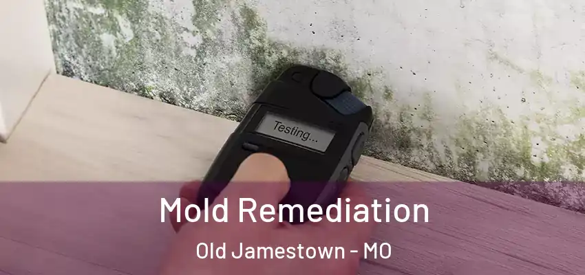  Mold Remediation Old Jamestown - MO