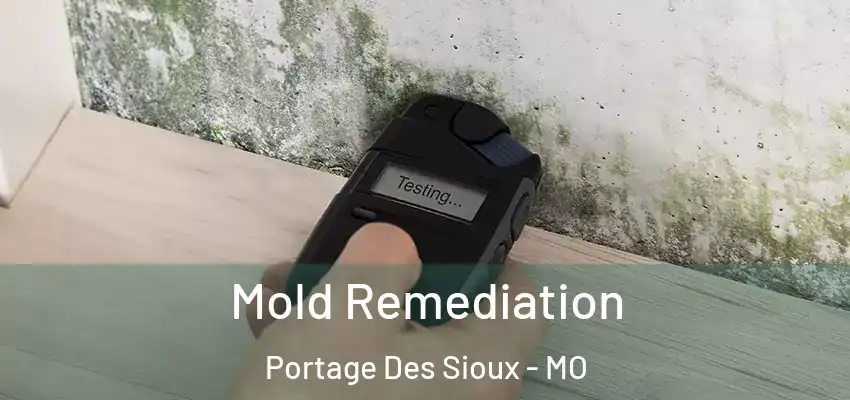  Mold Remediation Portage Des Sioux - MO