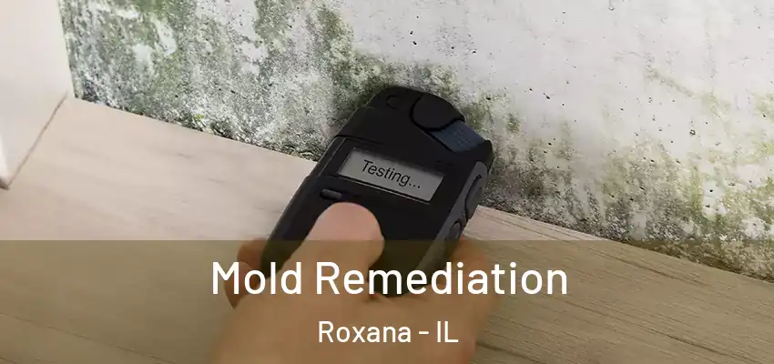  Mold Remediation Roxana - IL