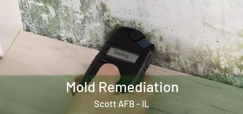 Mold Remediation Scott AFB - IL
