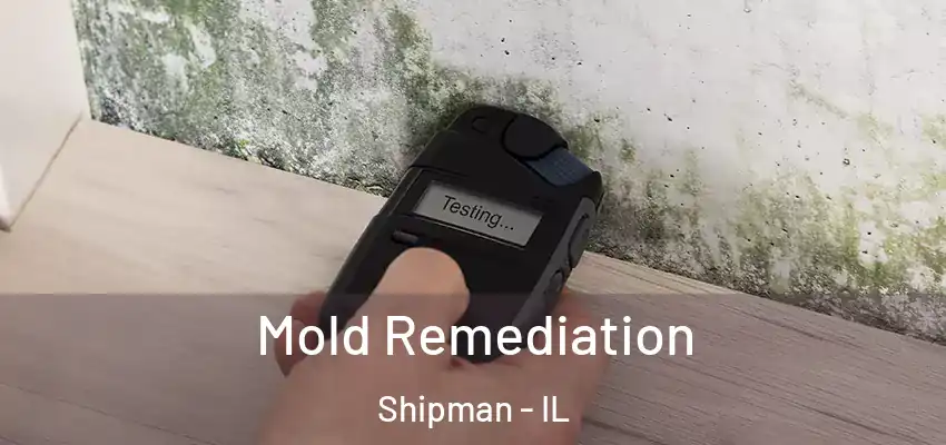  Mold Remediation Shipman - IL