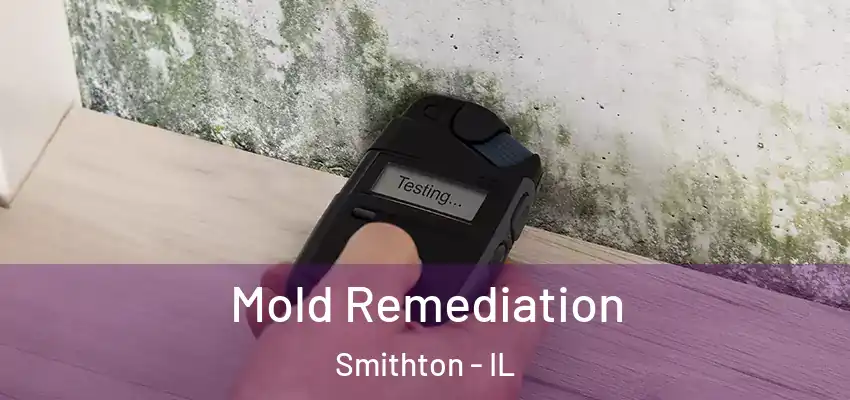  Mold Remediation Smithton - IL