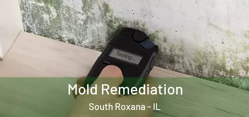  Mold Remediation South Roxana - IL