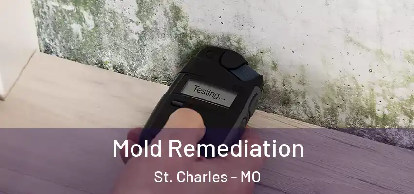  Mold Remediation St. Charles - MO