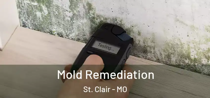  Mold Remediation St. Clair - MO