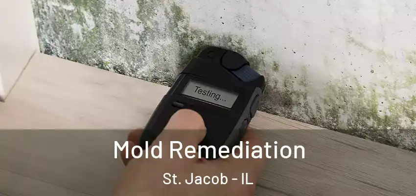  Mold Remediation St. Jacob - IL