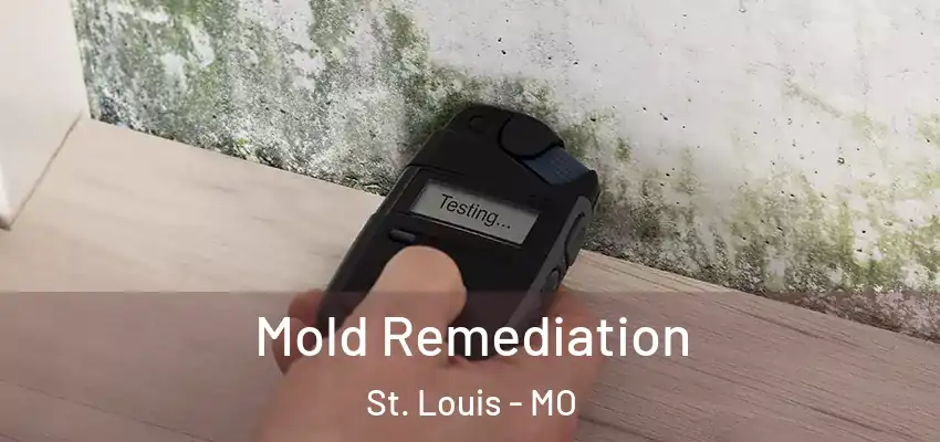  Mold Remediation St. Louis - MO