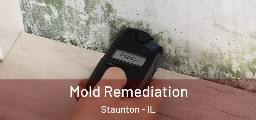  Mold Remediation Staunton - IL