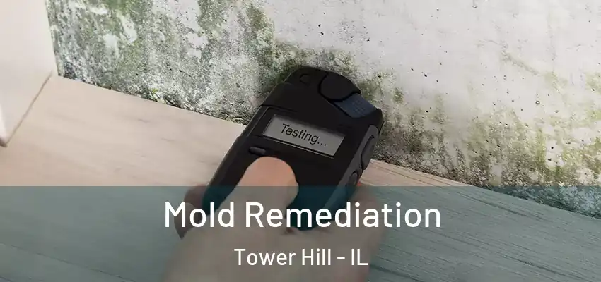  Mold Remediation Tower Hill - IL