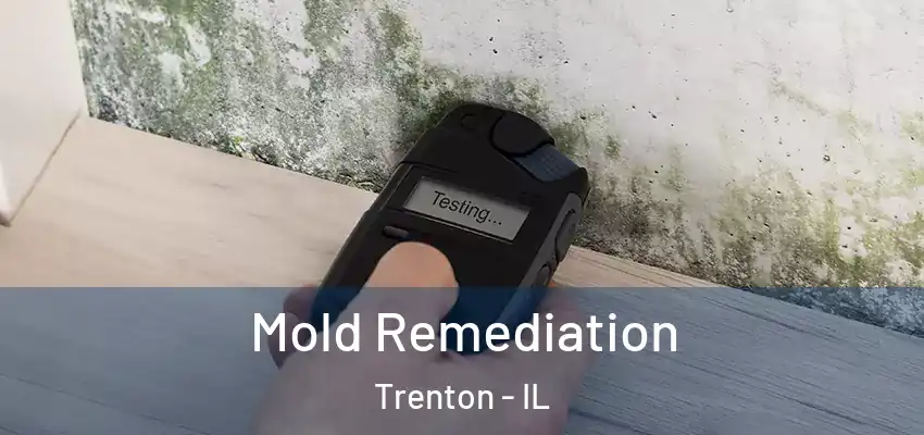 Mold Remediation Trenton - IL