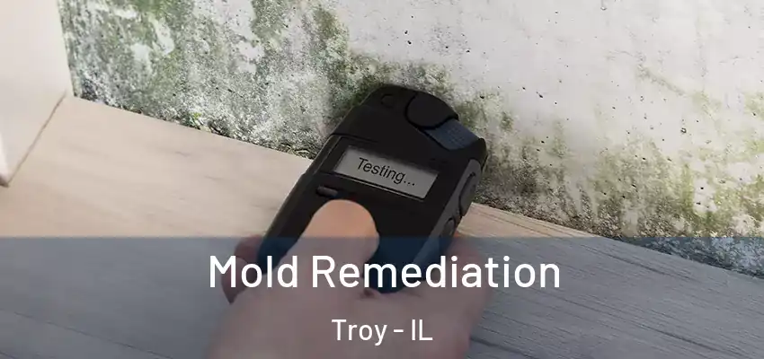  Mold Remediation Troy - IL