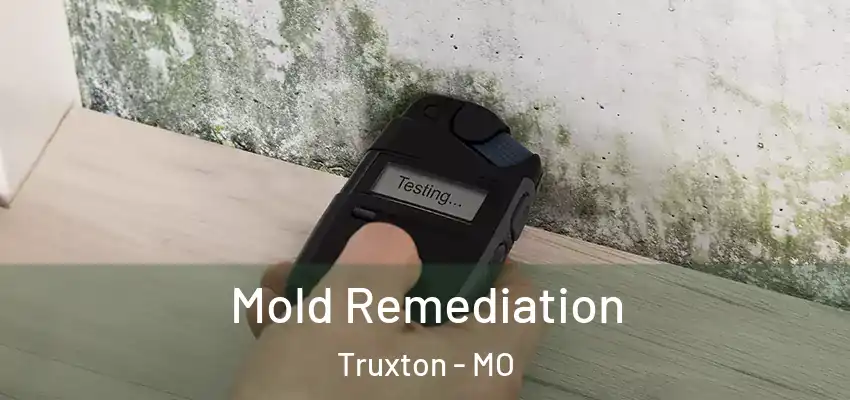  Mold Remediation Truxton - MO