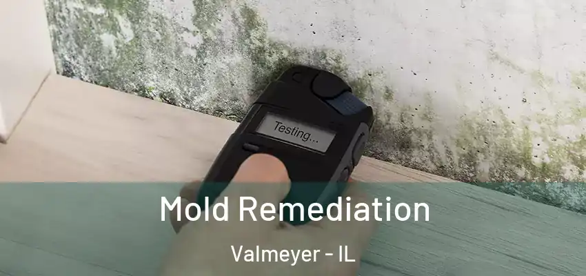  Mold Remediation Valmeyer - IL