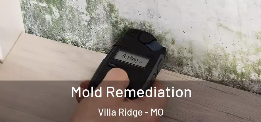  Mold Remediation Villa Ridge - MO