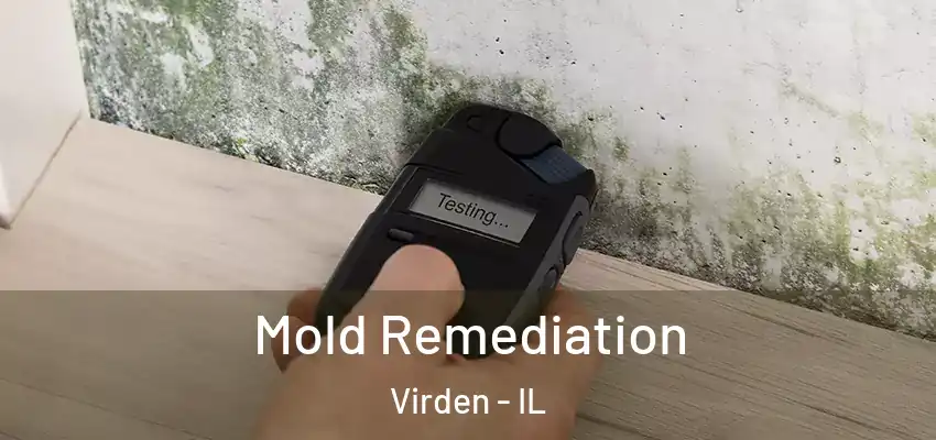  Mold Remediation Virden - IL